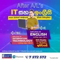 Diploma in Information Technology / Diploma in English