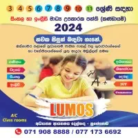 Grade 3-11 Sinhala and English medium tuition classes