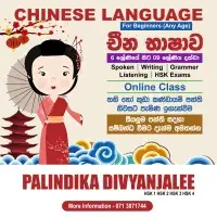 Chinese Language for Beginners (Any Age)