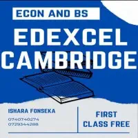 Edexcel / Cambridge Economics and Business Studies group classes in Panadura or Mount Lavinia