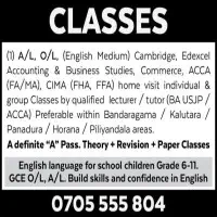 Accounting and Business Studies - Theory + Revision + Paper Classes