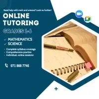 Online Tutoring for Mathematics and Science