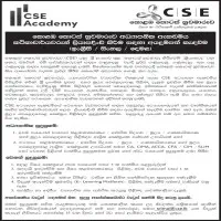 Vacancies exist at CSE Academy